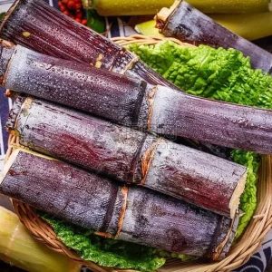 Purple Sugarcane Cuttings – 20 Unrooted Cuttings – 12