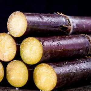 Purple Sugarcane Cuttings – 20 Unrooted Cuttings – 12