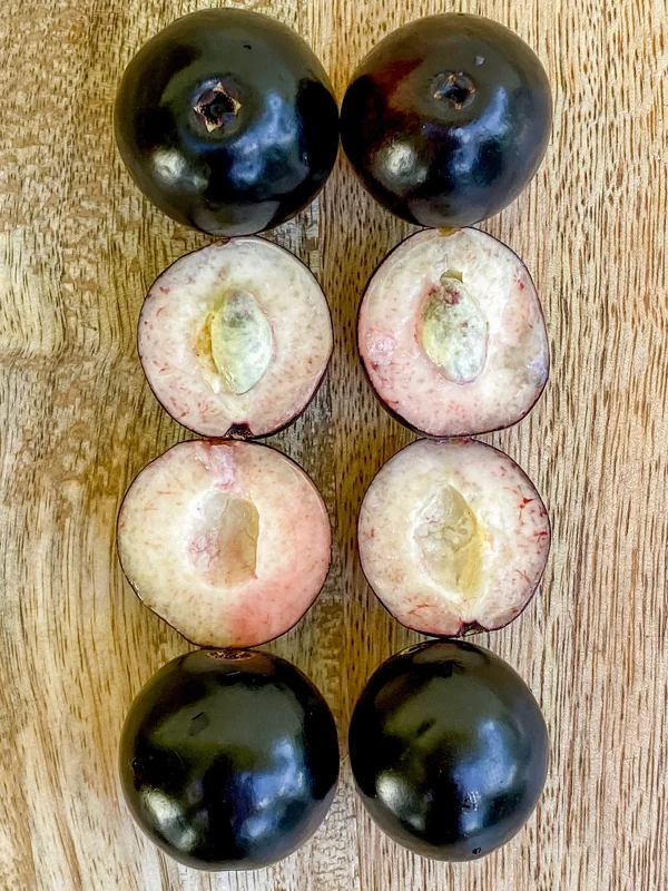 Rainforest Plum (Eugenia candolleana) Live Plant - Tropical Purple Fruit Tree Seedling, 2.5-5'' Tall - Image 7