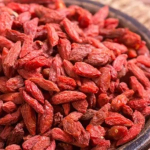 Red Goji Berry Cuttings - Set of 6, 8-10