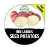 Red LaSoda Seed Potatoes - Certified Heirloom Planting Spuds - 1-10 Lbs - Image 1