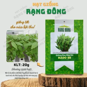 Red Molokhia Seeds - Egyptian Spinach Seeds for Planting (2500 Seeds) - Image 3