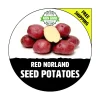 Red Norland Seed Potatoes - Certified Heirloom Plant Tuber Spud - 1-10 Lbs - Image 1