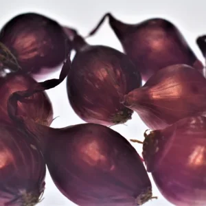 Red Onion Sets - Non-GMO Heirloom Bulbs for Planting - Grade 1 & 2 Available - Image 2