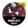 Red Onion Sets - Non-GMO Heirloom Bulbs for Planting - Grade 1 & 2 Available - Image 1