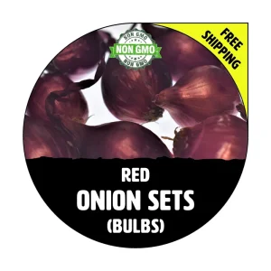 Red Onion Sets - Non-GMO Heirloom Bulbs for Planting - Grade 1 & 2 Available - Image 1