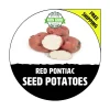 Red Pontiac Seed Potatoes - Certified Non-GMO Tuber Spuds - 1-10 Lbs. - Image 1