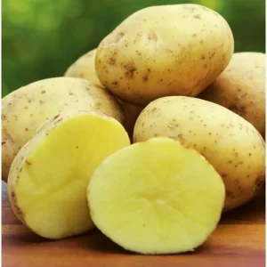 Red Potato Tubers for Planting – High Yielding Vegetable Potatoes – 2 Lbs - Image 4