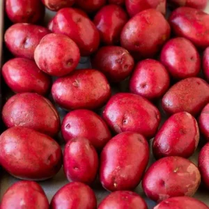 Red Potato Tubers for Planting – High Yielding Vegetable Potatoes – 2 Lbs - Image 1