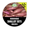 Roderique French Shallot Bulbs - Non-GMO, Long Banana Shape, Multiplier Onions - Image 1