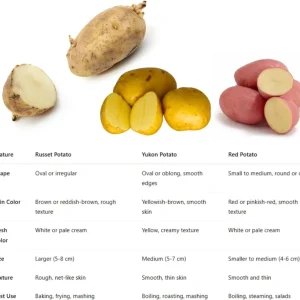 Russet Potato Tubers for Planting – 1 Pound High Yield Heirloom Vegetable Bulbs for Outdoor Home Garden Zones 3-9 - Image 3