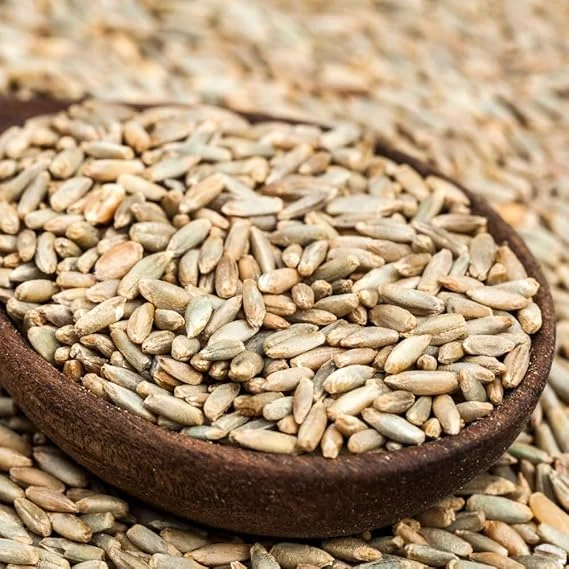 Rye Cover Crop Seeds - 3 Lb Bag, Fast-Growing Grass Seed for Lawns & Gardens, Outdoor - Image 4