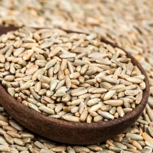 Rye Cover Crop Seeds - 3 Lb Bag, Fast-Growing Grass Seed for Lawns & Gardens, Outdoor - Image 7