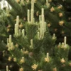 Set of 2 Austrian Pine Live Plants, Evergreen, 4-6 Inch Tall, 4 Inch Pot, Indoor/Outdoor - Image 1