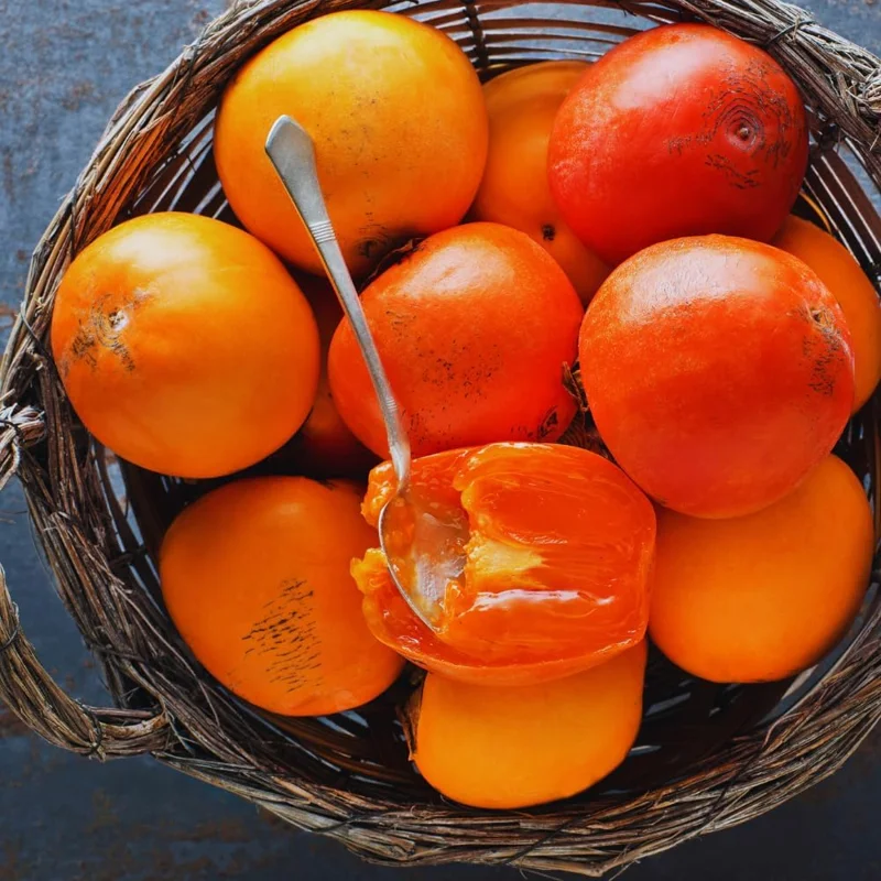 Set of 2 Persimmon Tree Bare Roots, 12-20 Inches, Cold Hardy Fruit Plant - Image 8