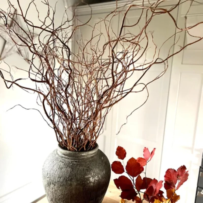 Set of 2 Willow Bare Root Trees, 1-2 Feet Tall Dormant Live Plants, Fast-Growing Cold-Hardy - Image 4