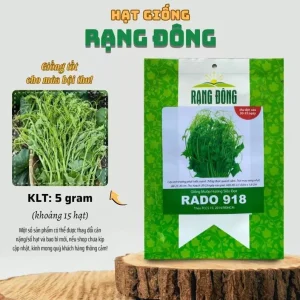 Smooth Luffa Seeds - 15 Count Sponge Gourd Seeds for Planting - Image 2