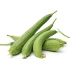 Smooth Luffa Seeds - 15 Count Sponge Gourd Seeds for Planting - Image 1