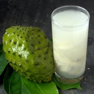 Soursop Tree Live Plant, 3 Gallon Pot, Annona Muricata, Tropical Fruit Tree - Image 7