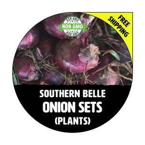Southern Belle Red Onion Sets - Heirloom Onion Bulbs, 40-70 Plants, Winter & Spring Planting - Image 1