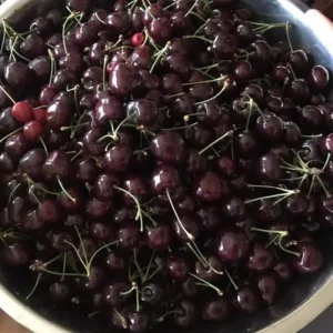 Sweet Cherry Tree Live Plants, 2-Pack, 3-4 Ft Tall Bareroot for Orchard - Image 8