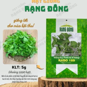 Thai Lemon Basil Seeds - 2000 Seeds for Planting, Aromatic Heirloom Herb - Image 2