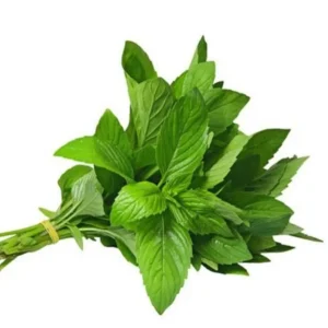 Thai Lemon Basil Seeds - 2000 Seeds for Planting Aromatic Heirloom Herb - Image 1