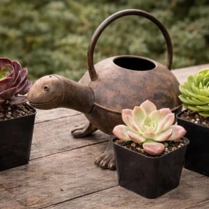 Turtle Watering Can & 3 Succulent Live Plants Bundle - Garden Decor - Image 1