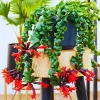 Twister Lipstick Plant Live, Aeschynanthus, 3 Inch Pot, Trailing Houseplant - Image 1