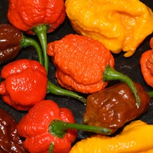 Ultra Hot Pepper Seeds Mix - Carolina Reaper, Ghost, Habanero, Scorpion - 25 Seeds - Image 2