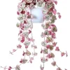 Variegated String of Hearts Live Plant - Ceropegia Woodii, 2.5" Pot Indoor Trailing Succulent - Image 1