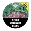 Victoria Rhubarb Plants - Heirloom Bare Root Live Seedlings - 1-10 Pack - Image 1