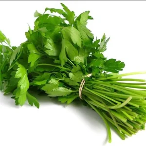 Vietnamese Large Leaf Coriander Seeds - 1000 Count Cilantro Seeds for Planting - Image 2