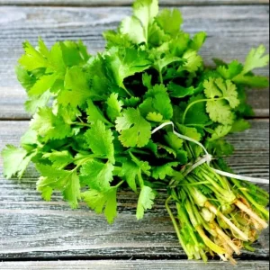 Vietnamese Large Leaf Coriander Seeds - 1000 Count Cilantro Seeds for Planting - Image 4