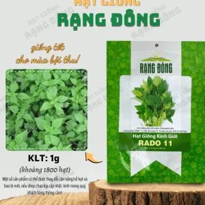 Vietnamese Mint Seeds - Elsholtzia Ciliata Herb Seeds for Planting, 1 Gr (1800 Seeds) - Image 3