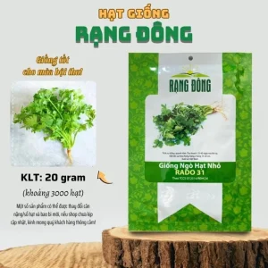 Vietnamese Small Leaf Coriander Seeds - 3000 Cilantro Seeds for Planting - Image 5