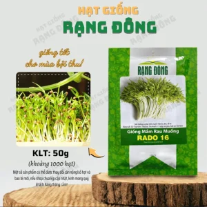 Water Spinach Seeds - 1000 Seeds (50g) for Planting - Ong Choy Vegetable - Image 3