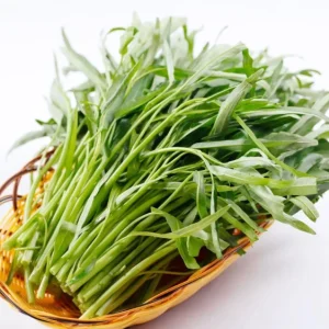 White Chinese Water Spinach Seeds – 1200 Seeds for Planting – Easy Grow – Warm Climate - Image 1