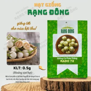 White Mini Round Eggplant Seeds - 100 Seeds for Planting | Thai Variety - Image 2