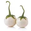 White Mini Round Eggplant Seeds - 100 Seeds for Planting | Thai Variety - Image 1