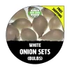 White Onion Sets - Non-GMO Heirloom Bulbs for Planting - Fresh - Image 1