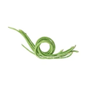 White Seeded Yard Long Bean Seeds - 50 Seeds for Planting, Green Bean - Image 2