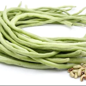 White Seeded Yard Long Bean Seeds - 50 Seeds for Planting, Green Bean - Image 7