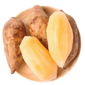 Yacon Root Live Plant - Smallanthus Sonchifolius Starter Plug, 2-6 Inch Tall - Image 2