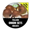 Yellow Onion Sets - Non-GMO Heirloom Seed Onions, Live Bulbs for Planting - Image 1