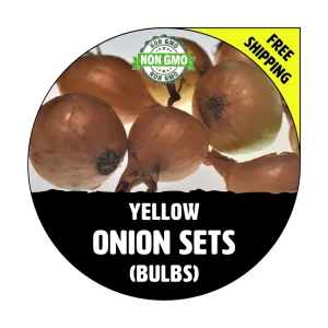 Yellow Onion Sets - Non-GMO Heirloom Seed Onions, Live Bulbs for Planting - Image 1