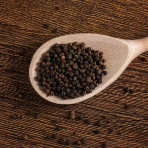 2 Black Pepper Live Plants – Piper nigrum Starter Vines – 4-6