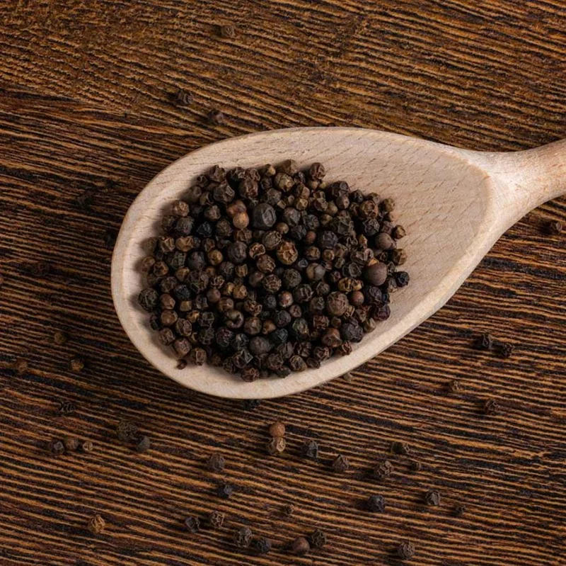 2 Black Pepper Live Plants – Piper nigrum Starter Vines – 4-6" Tall - Image 8