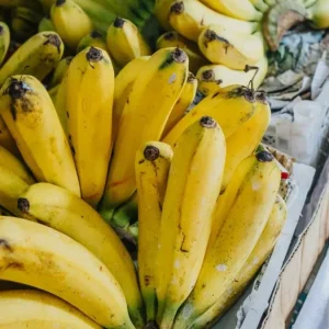 Grand Nain Banana Live Plants – Set of 4, 4-6