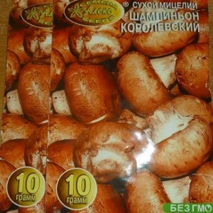 King Trumpet Mushroom Dried Spawn Mycelium – Factory Packed – Home Grow Kit - Image 1